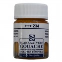 TALENS 62342 JAR GUAJ BOYA 16ML RAW SİENNA