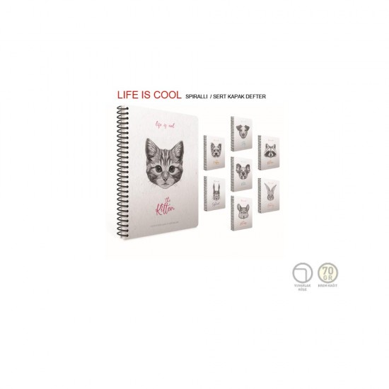 GIPTA 4684 LIFE IS COOL SPR SRT KPK DEF17X24 120YP ÇİZGİLİ