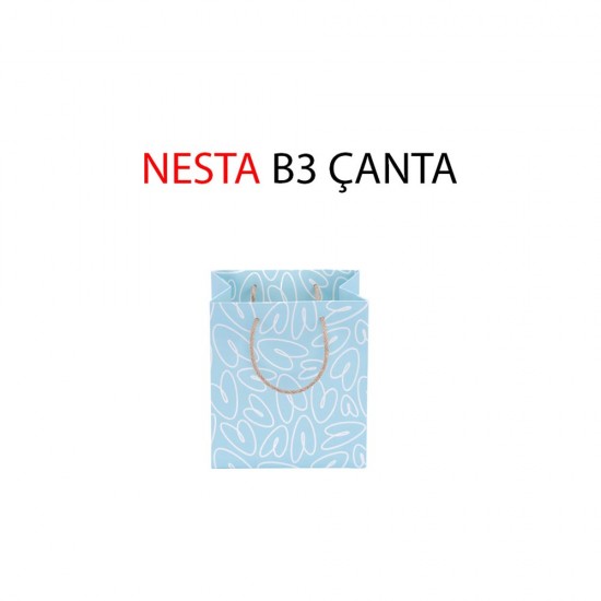 GIPTA BG0685 B3 NESTA KARTON ÇANTA