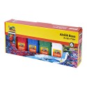 NOVA COLOR NC-2005 AKRİLİK BOYA ŞİŞE 100GR 6LI