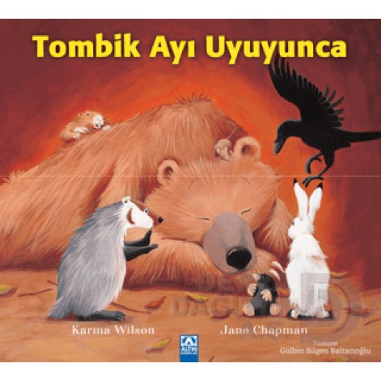 ALTIN /   TOMBİK AYI UYUYUNCA