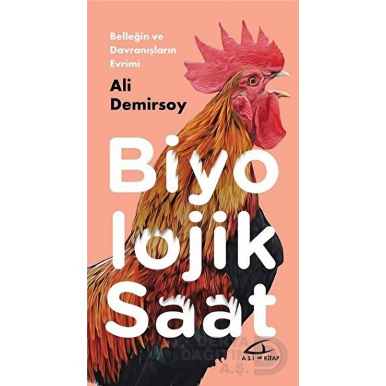 ASİKİTAP / BİYOLOJİK SAAT / ALİ DEMİRSOY