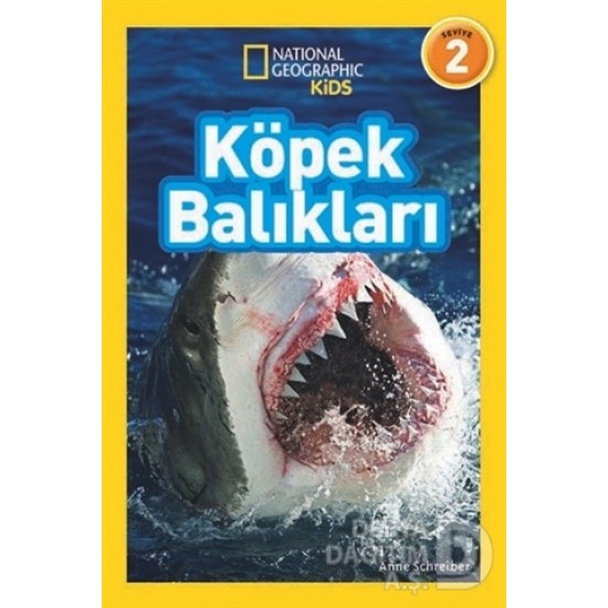 BETA KİDS / KÖPEK BALIKLARI