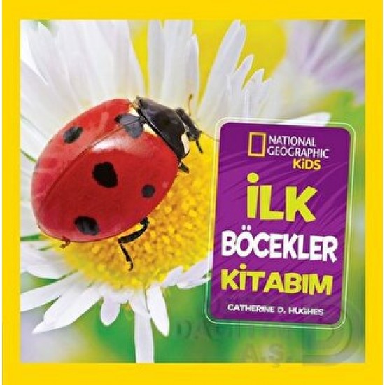 BETA KİDS / İLK BÖCEKLER KİTABIM