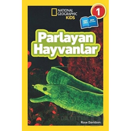 BETA KİDS /  PARLAYAN HAYVANLAR