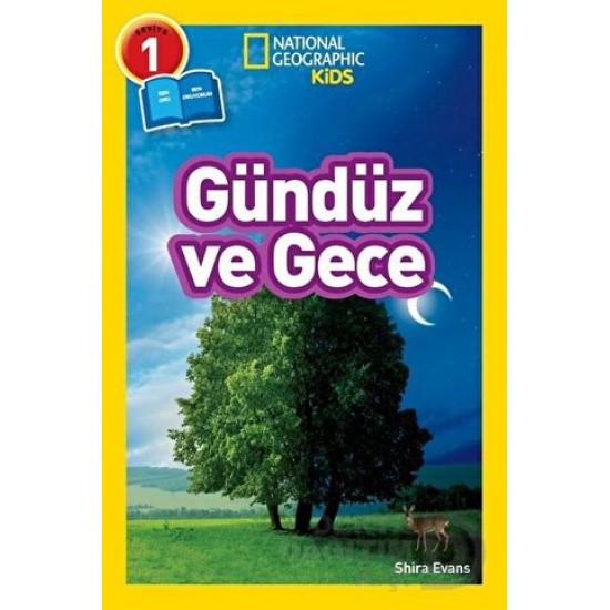 BETA NATIONALG /  GÜNDÜZ VE GECE - SEVİYE 1