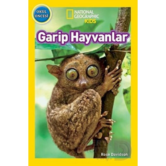 BETA KİDS /  GARİP HAYVANLAR