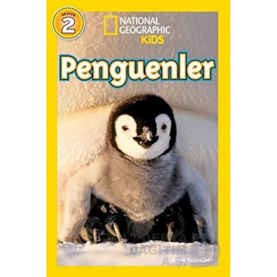 BETA NATIONALG / PENGUENLER (SEYİYE - 2)