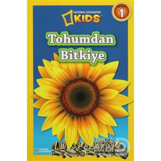 BETA KİDS / TOHUMDA BİTKİYE - SEVİYE 1