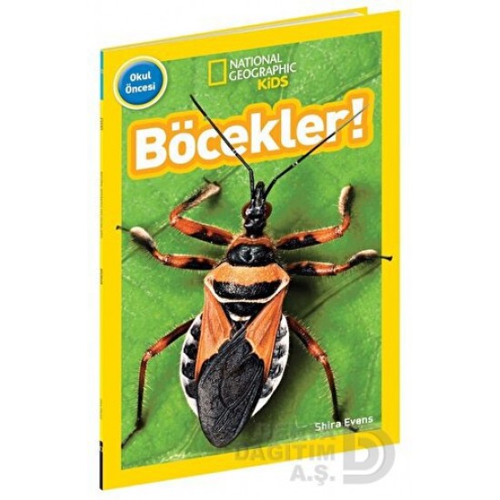 BETA KİDS / OKUL ÖNCESİ - BÖCEKLER