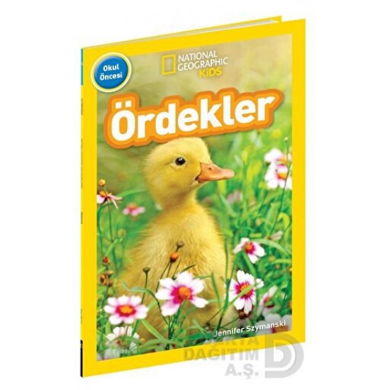 BETA KİDS / OKUL ÖNCESİ - ÖRDEKLER