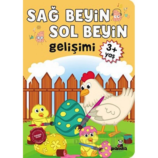 BEYAZ PANDA / SAĞ BEYİN - SOL BEYİN GELİŞİMİ 3+