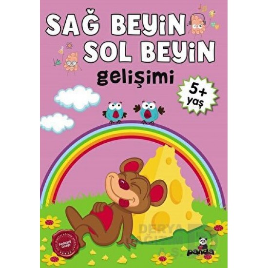 BEYAZ PANDA / SAĞ BEYİN - SOL BEYİN GELİŞİMİ 5+