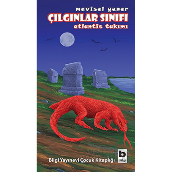 BİLGİ / ÇILGINLAR SINIFI ATLANTİS TAKIMI