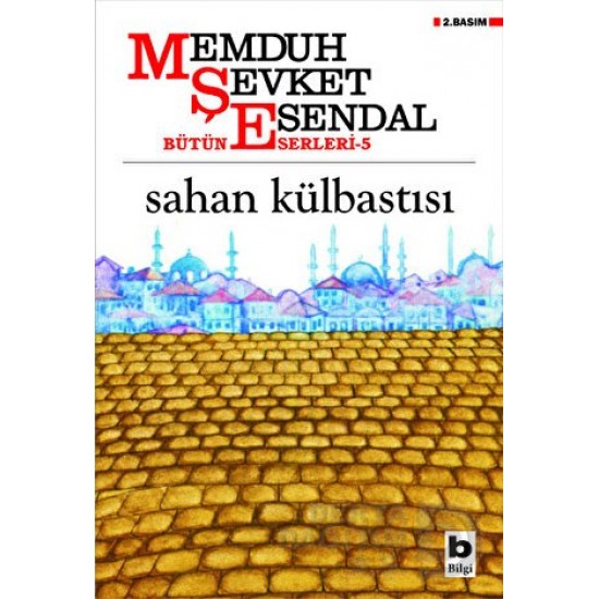 BİLGİ / SAHAN KÜLBASTISI