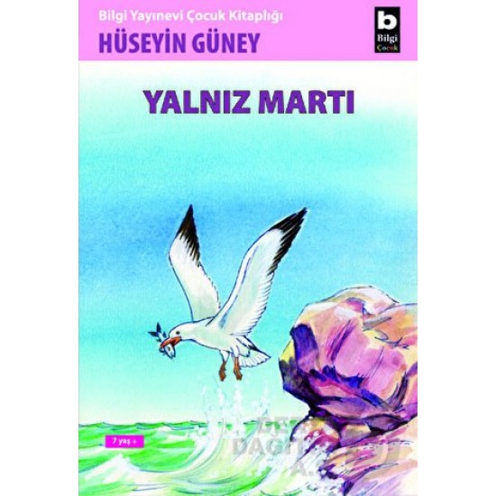 BİLGİ / YALNIZ MARTI