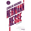 CAN / ÇARKLAR ARASINDA / HERMANN HESSE