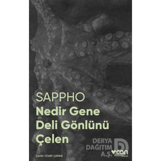 CAN / NEDİR GENE DELİ GÖNLÜNÜ ÇELEN (FOTOĞRAFLI)