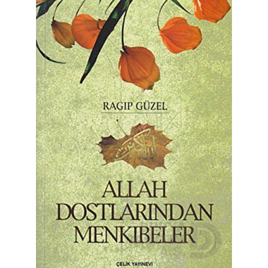 ÇELİK / ALLAH DOSTLARINDAN MENKIBELER