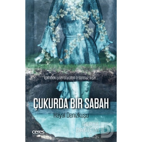 CERES / ÇUKURDA BİR SABAH / HAYAL DENİZKUŞU