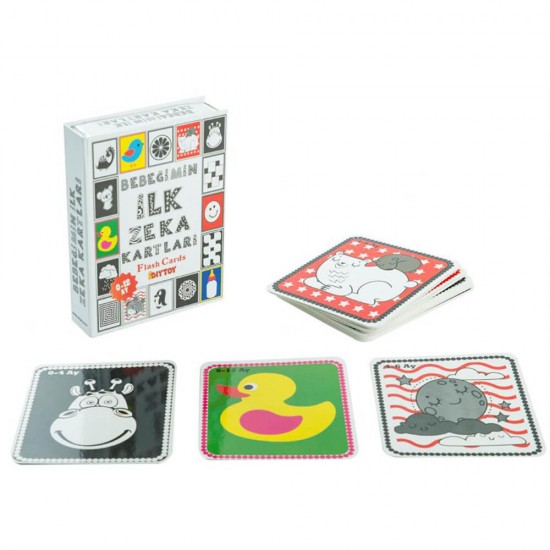 DIYTOY 1369 FLASH CARDS BEBEĞİMİN İLK ZEKA KARTLARI