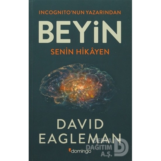 DOMİNGO / BEYİN - SENİN HİKAYEN