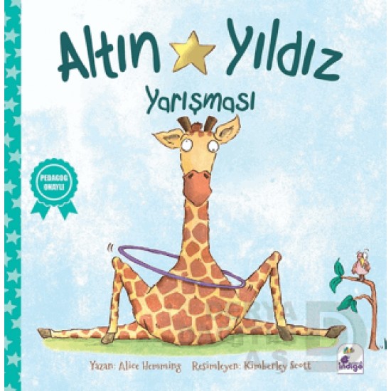 İNDİGO / ALTIN YILDIZ YARIŞMASI