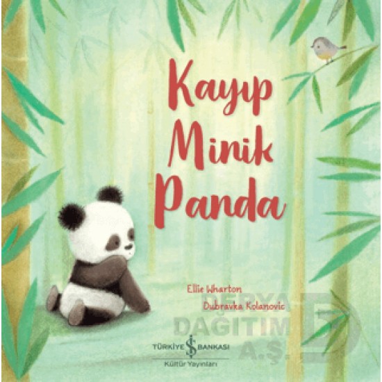 İŞBANKASI / KAYIP MİNİK PANDA