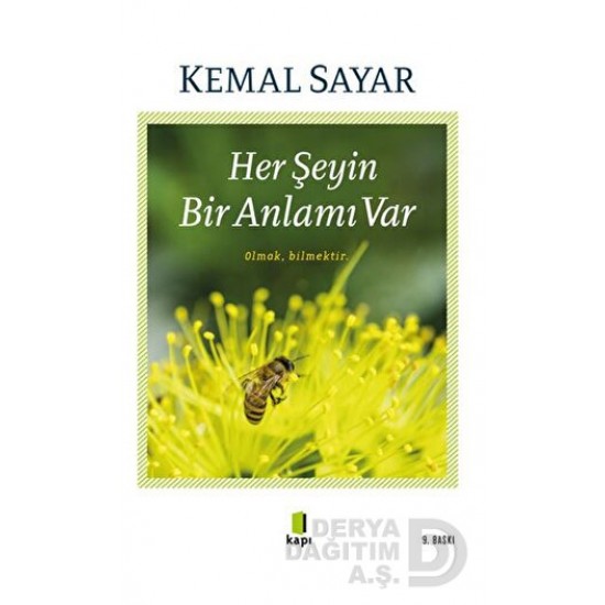 KAPI / HER ŞEYİN BİR ANLAMI VAR