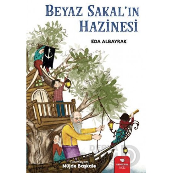 KİDZ / BEYAZ SAKALIN HAZİNESİ