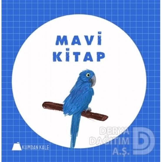 KUMDAN KALE / MAVİ  KİTAP