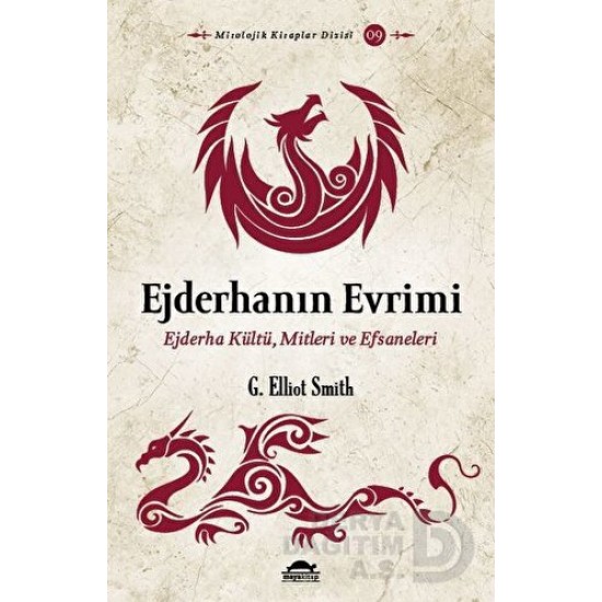 MAYA / EJDERHANIN EVRİMİ