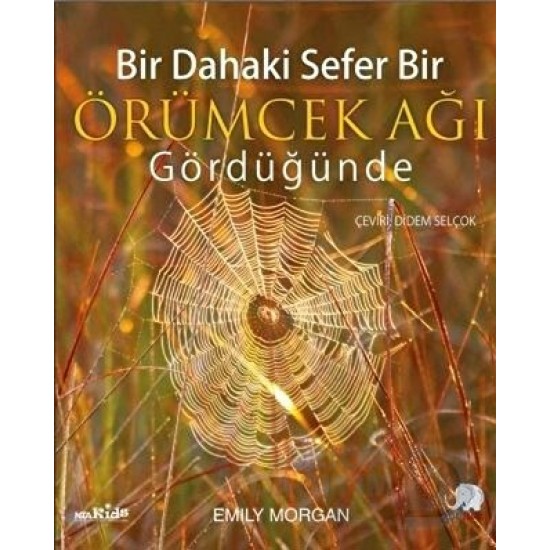 NOBEL / BİR DAHAKİ SEFER BİR ÖRÜMCEK AĞI GÖRDÜĞÜN