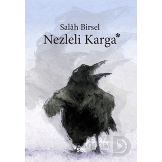 SEL / NEZLELİ KARGA