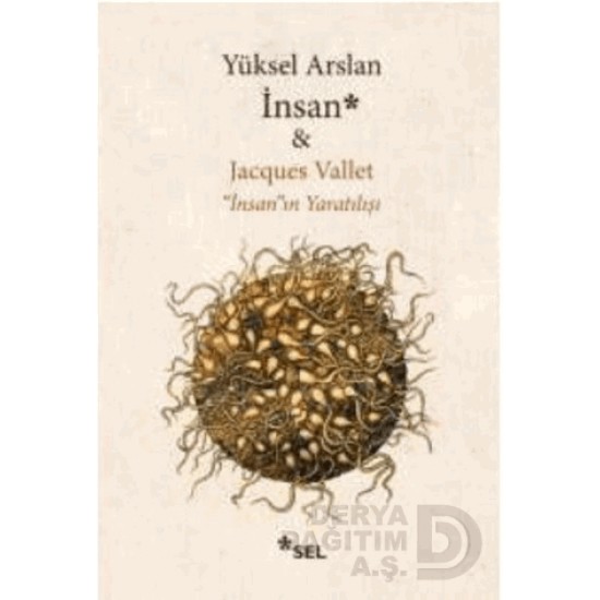 SEL / İNSAN İNSANIN YARATILIŞI