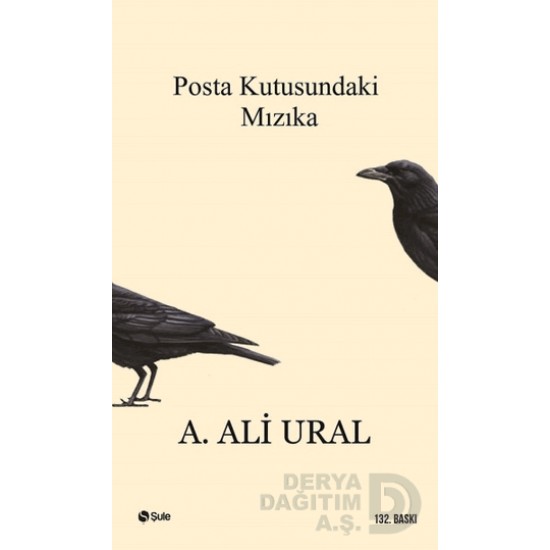 ŞULE / POSTA KUTUSUNDAKİ MIZIKA