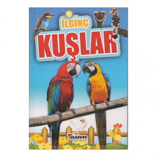 TELESKOP / İLGİNÇ KUŞLAR