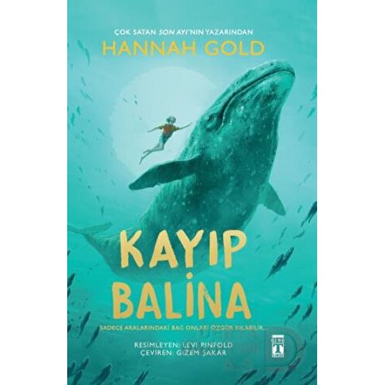 TİMAŞ  / KAYIP BALINA (KARTON KAPAK)