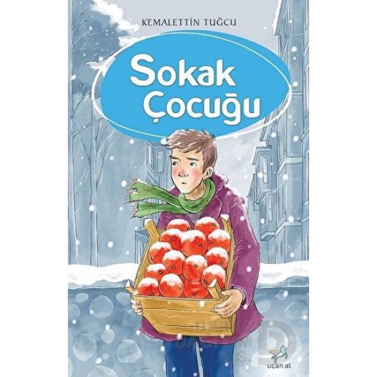 UÇAN AT / SOKAK ÇOCUĞU