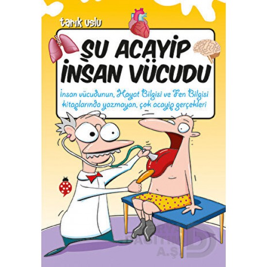 UĞURBÖCEĞİ / ŞU ACAYİP İNSAN VÜCUDU