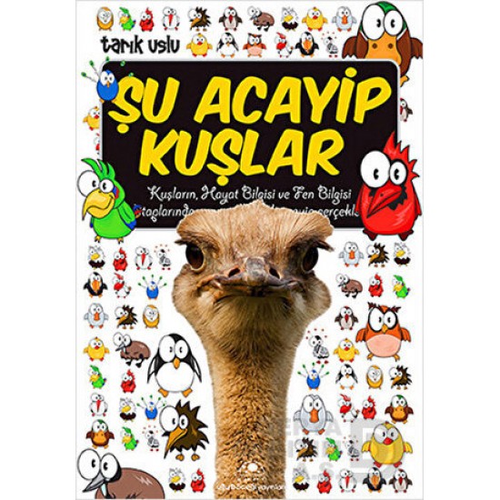 UĞURBÖCEĞİ / ŞU ACAYİP KUŞLAR