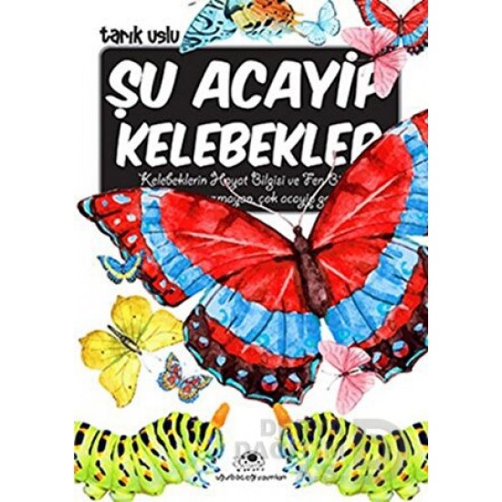 UĞURBÖCEĞİ / ŞU ACAYİP KELEBEKLER