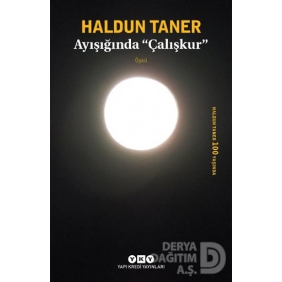 YKY / AYIŞIGINDA ÇALIŞKUR / HALDUN TANER