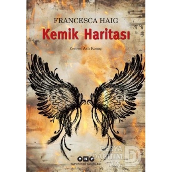 YKY / KEMİK HARİTASI