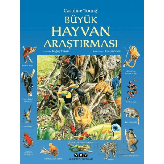 YKY / BÜYÜK HAYVAN ARAŞTIRMASI