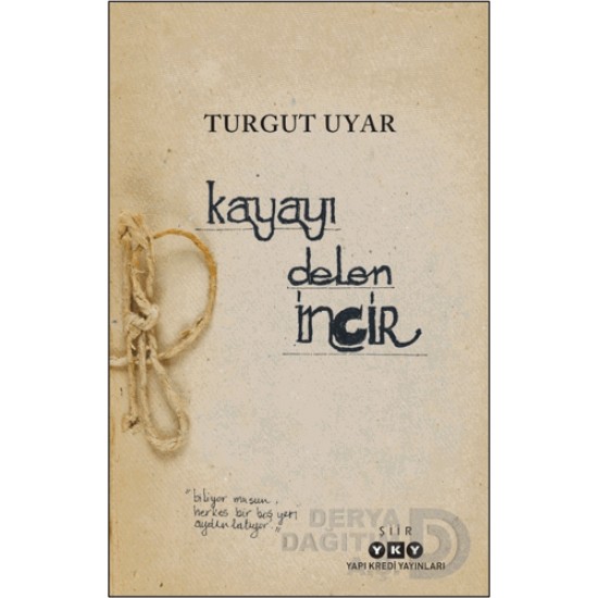 YKY /  KAYAYI DELEN İNCİR