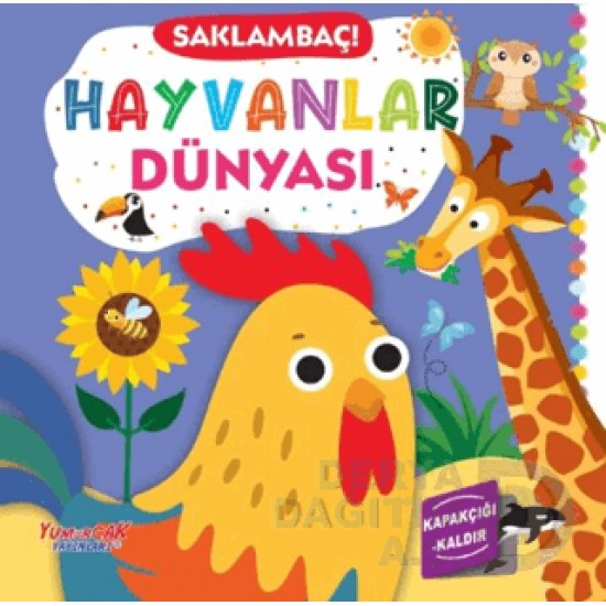 YUMURCAK /  SAÇLAMBAÇ - HAYVANLAR DÜNYASI