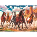 HEİDİ 4224 ART PUZZLE 1000 PARÇA VADİDE DÖRTNALA